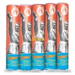 Hitler (10 CM 5 Pcs)
